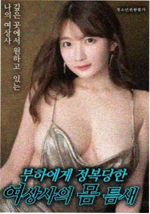 经典老番推荐封面